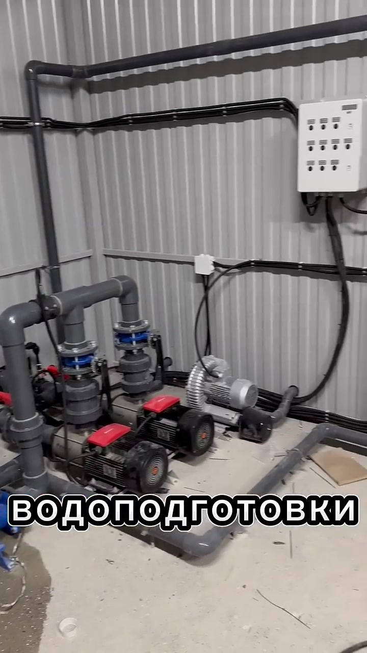 Обратный осмос для полива малины и ежевики